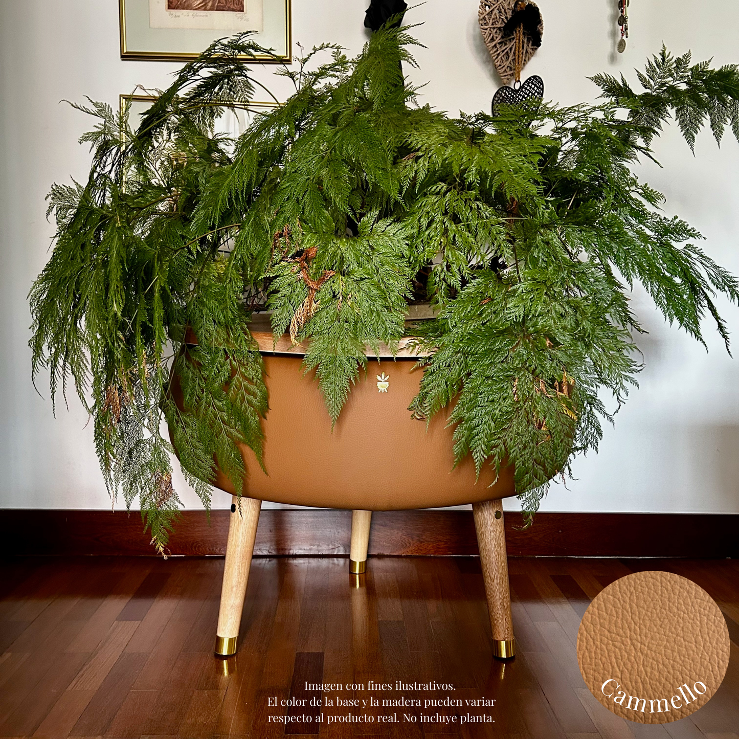 Matera Merano Grande