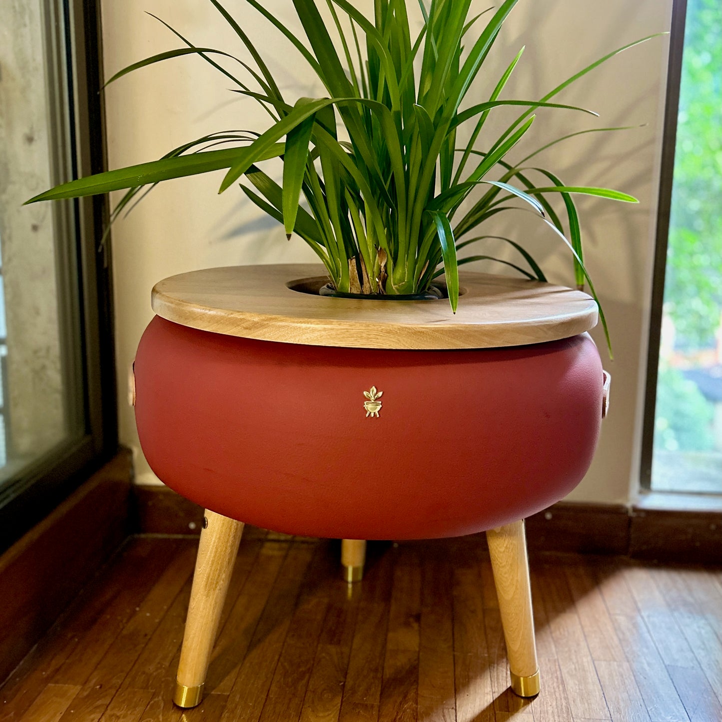 Matera Merano Media Albicocca