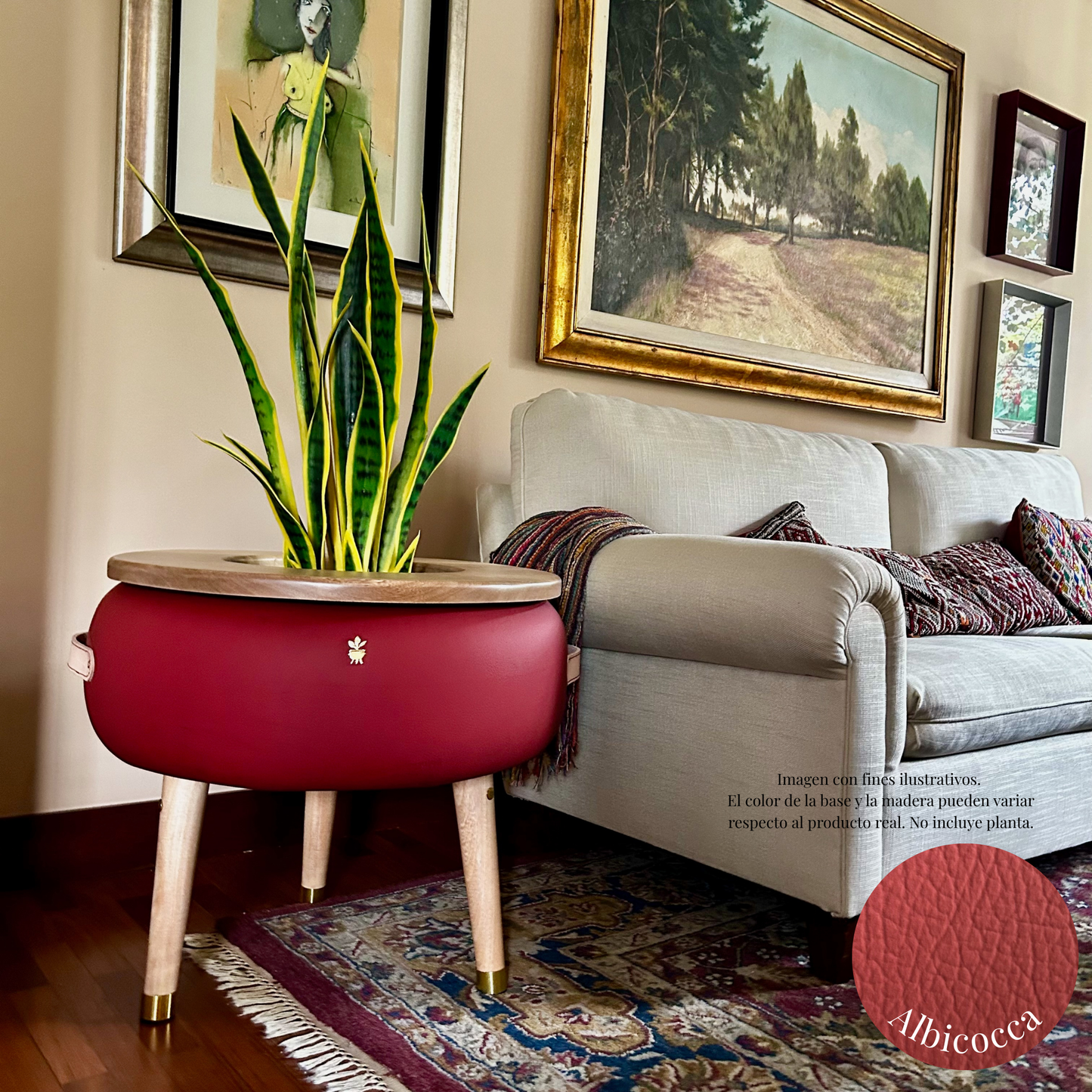 Matera Merano Media Albicocca