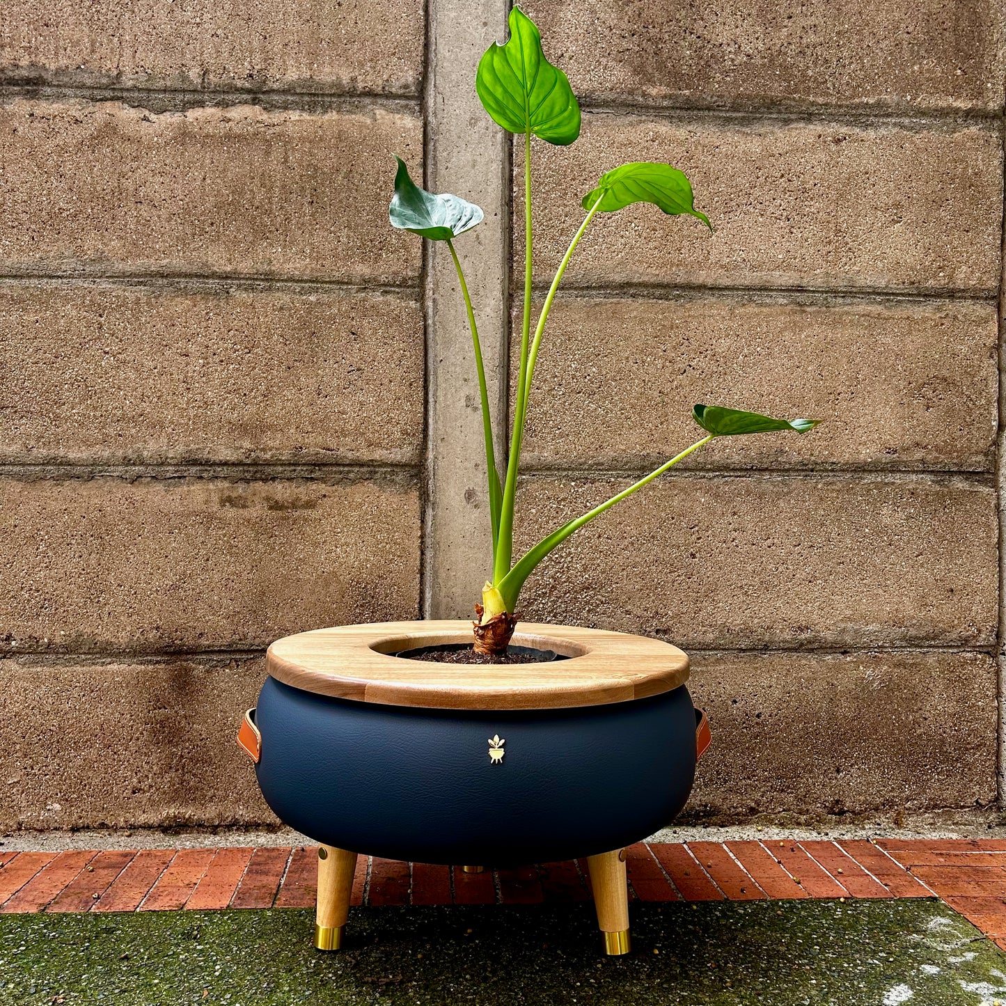 Matera Merano Media Gruta