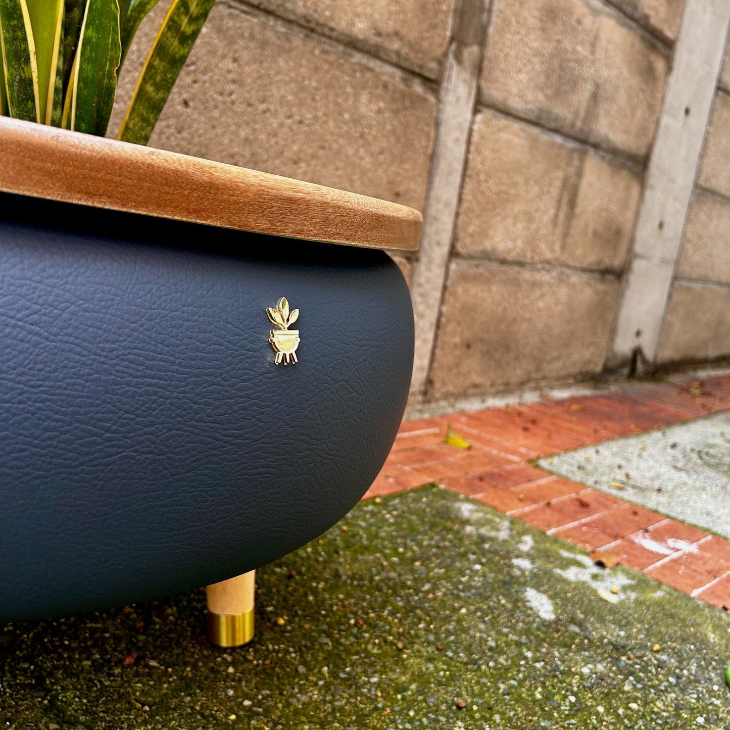 Matera Merano Media Gruta