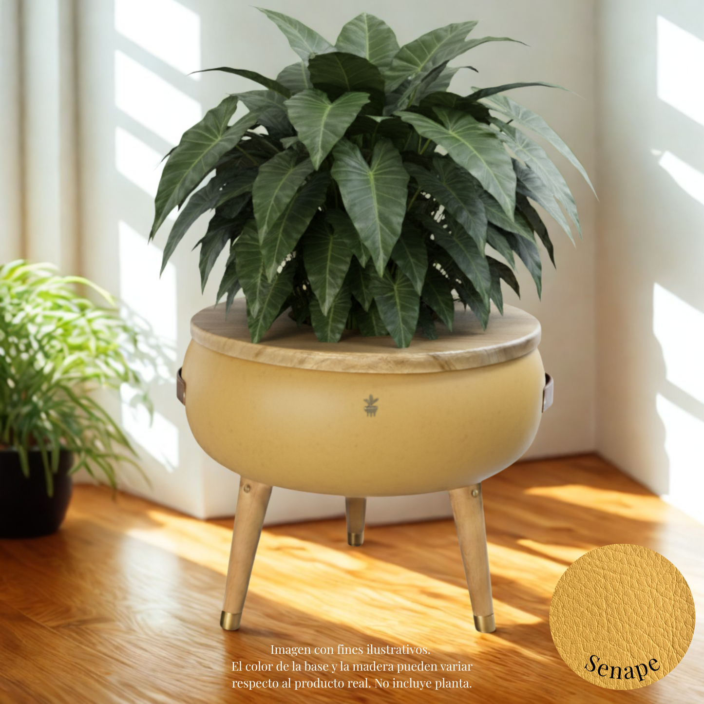 Matera Merano Grande