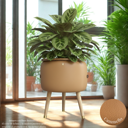 Matera Merano Doppia