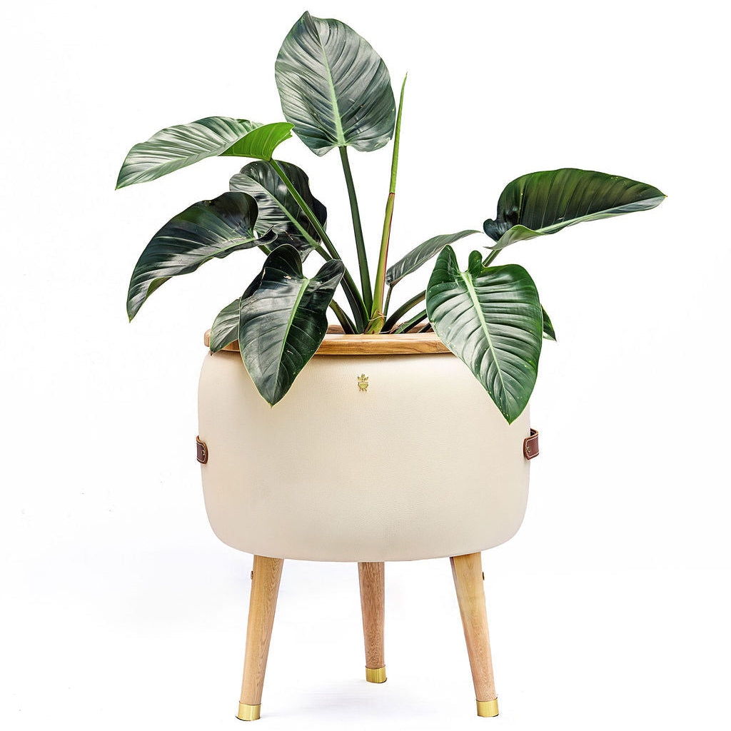 Matera Merano Doppia