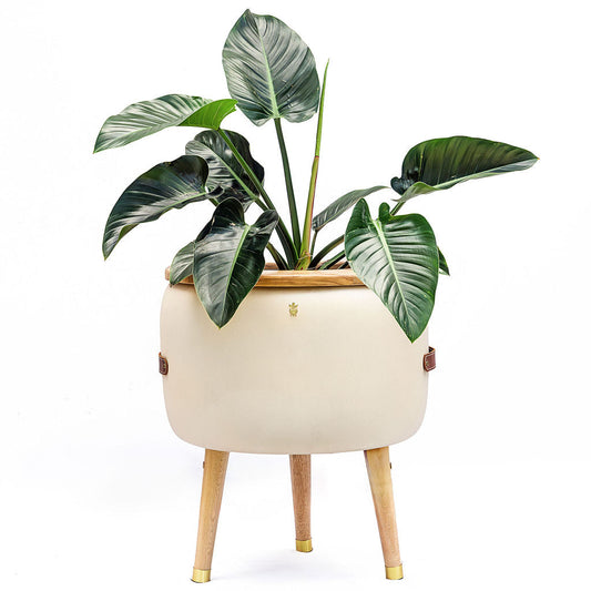 Matera Merano Doppia