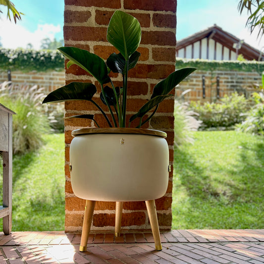 Matera Merano Doppia Perla