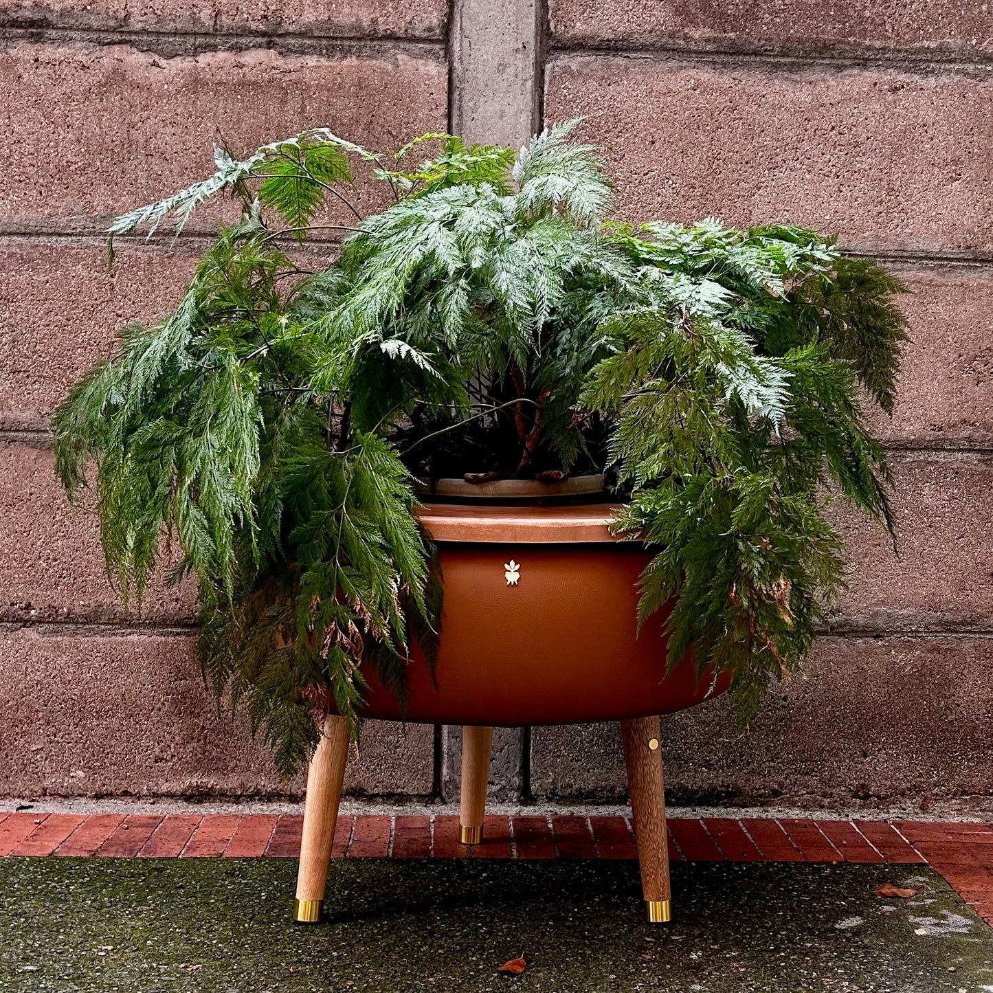 Matera Merano Grande Cammello