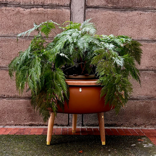 Matera Merano Grande Cammello