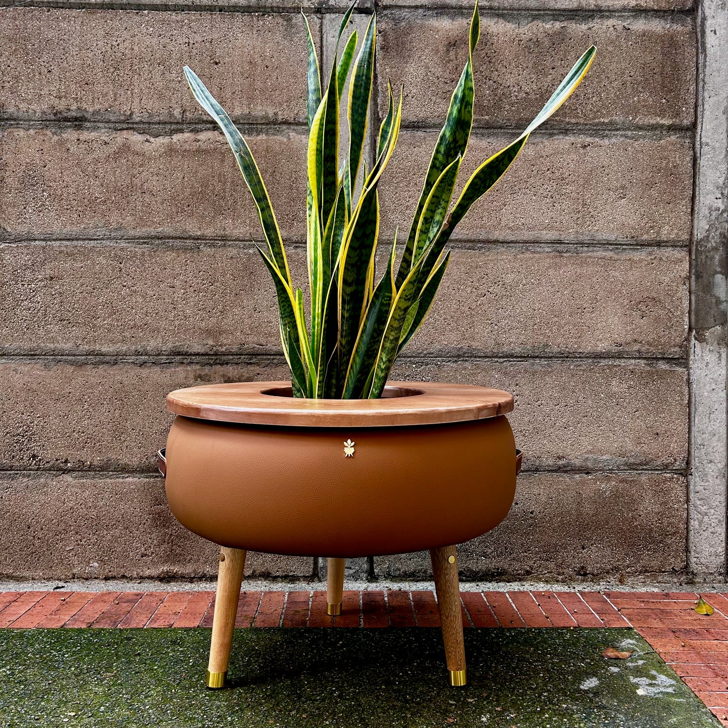 Matera Merano Grande