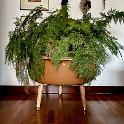 Matera Merano Grande