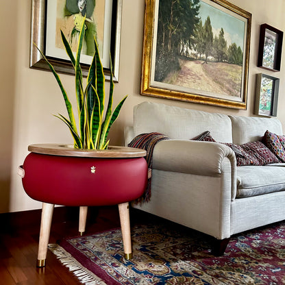 Matera Merano Media Albicocca