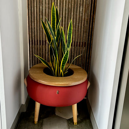 Matera Merano Media Albicocca