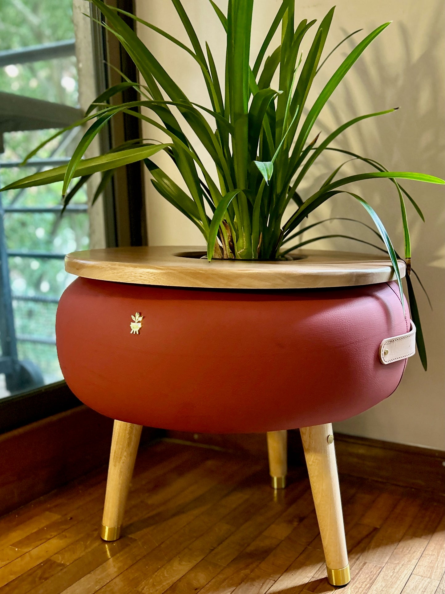 Matera Merano Media Albicocca