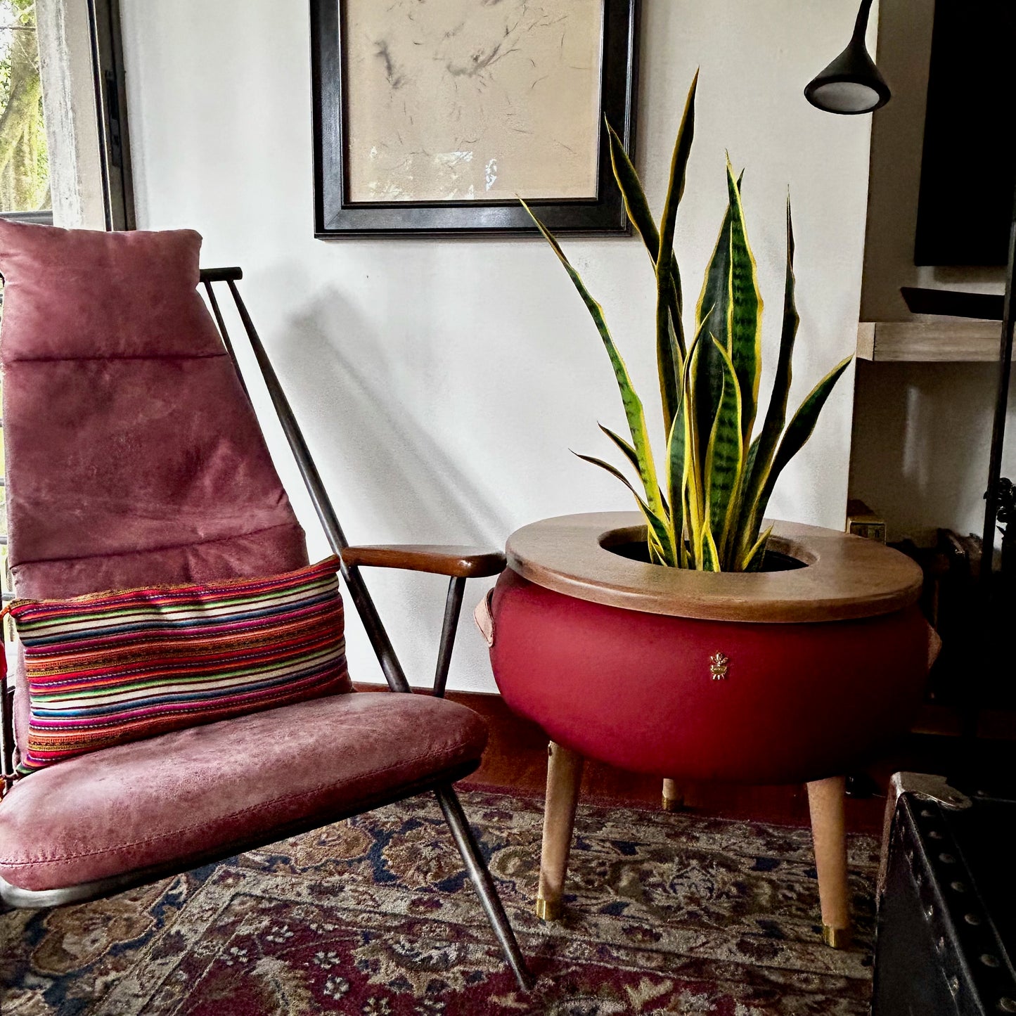 Matera Merano Media Albicocca