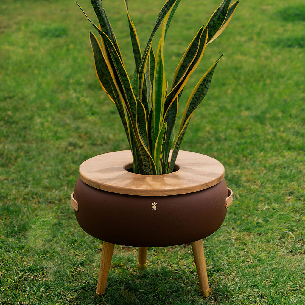 Matera Merano Media Caffè