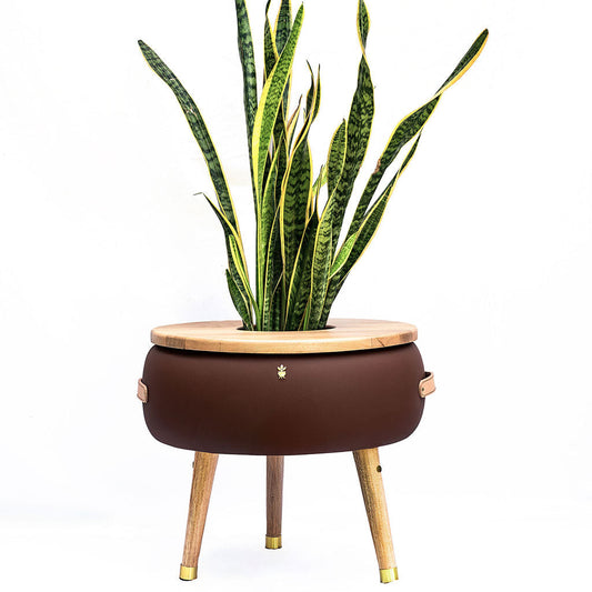 Matera Merano Media Caffè