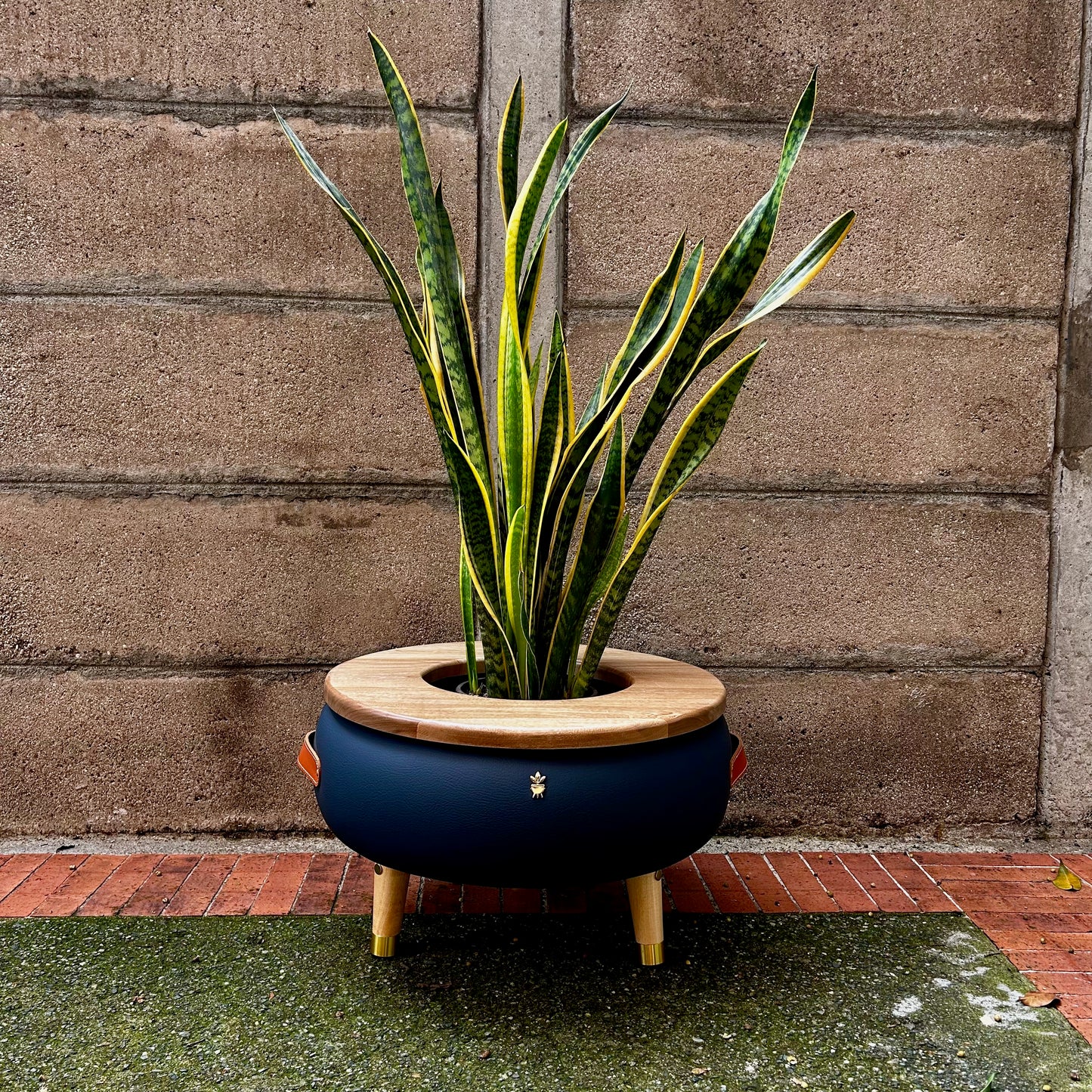 Matera Merano Media Gruta