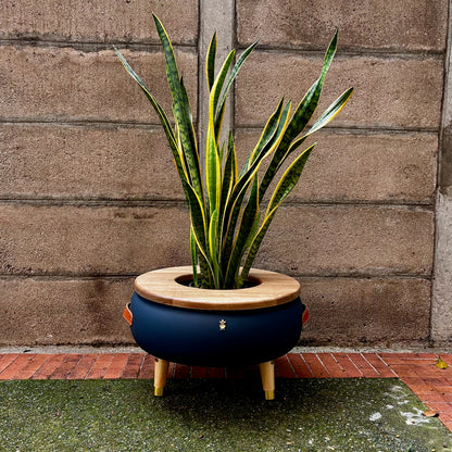 Matera Merano Media Gruta