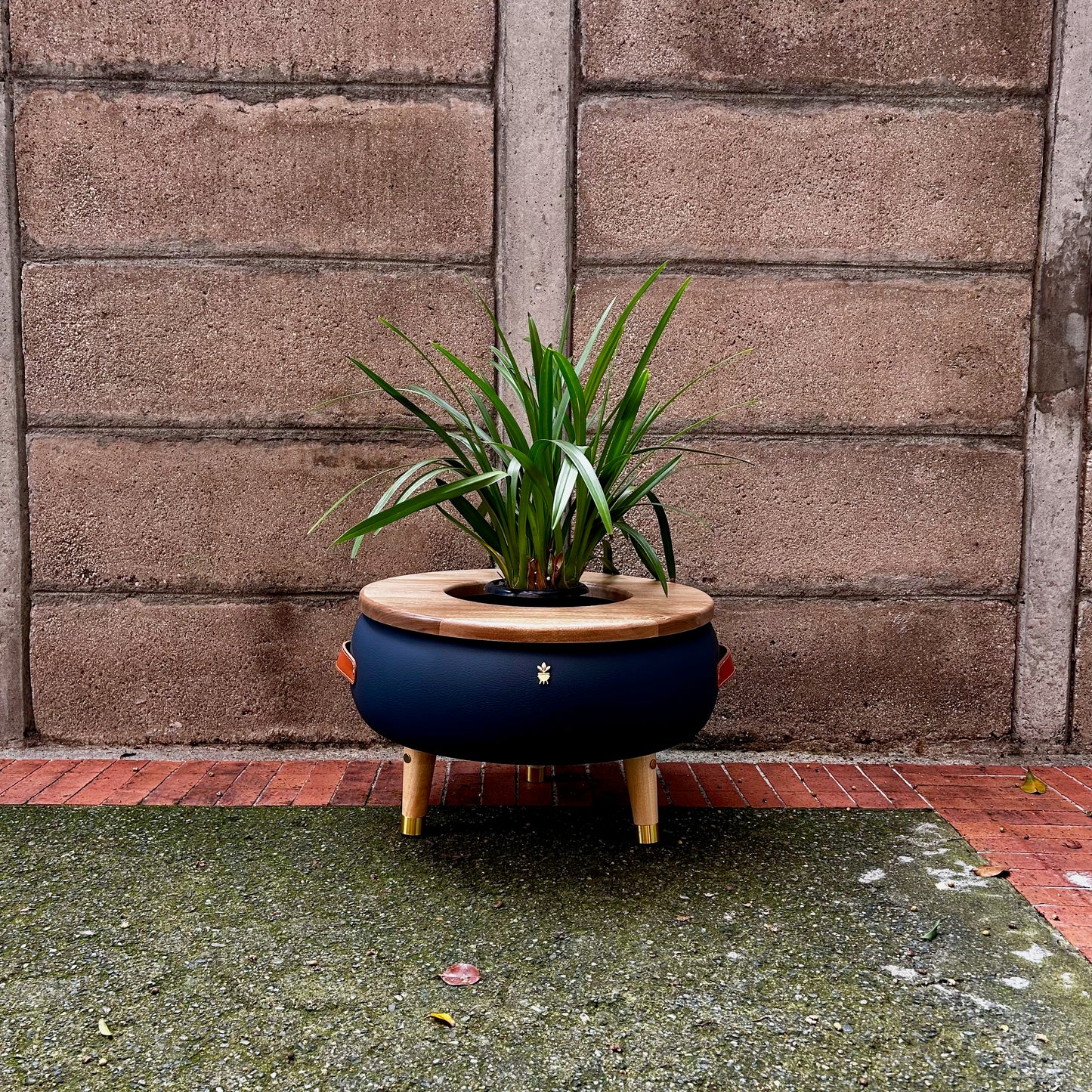 Matera Merano Media Gruta