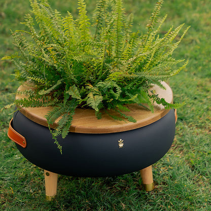 Matera Merano Media Gruta