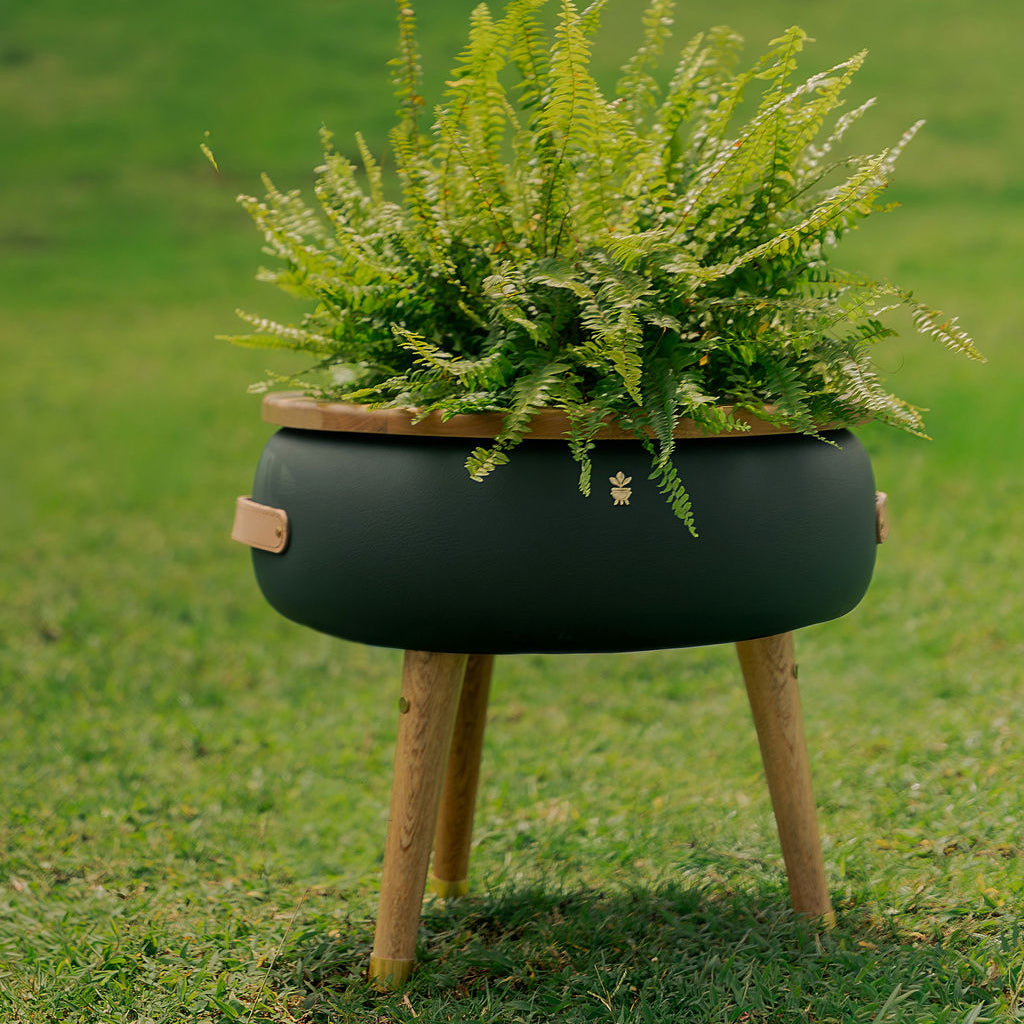 Matera Merano Media Militare