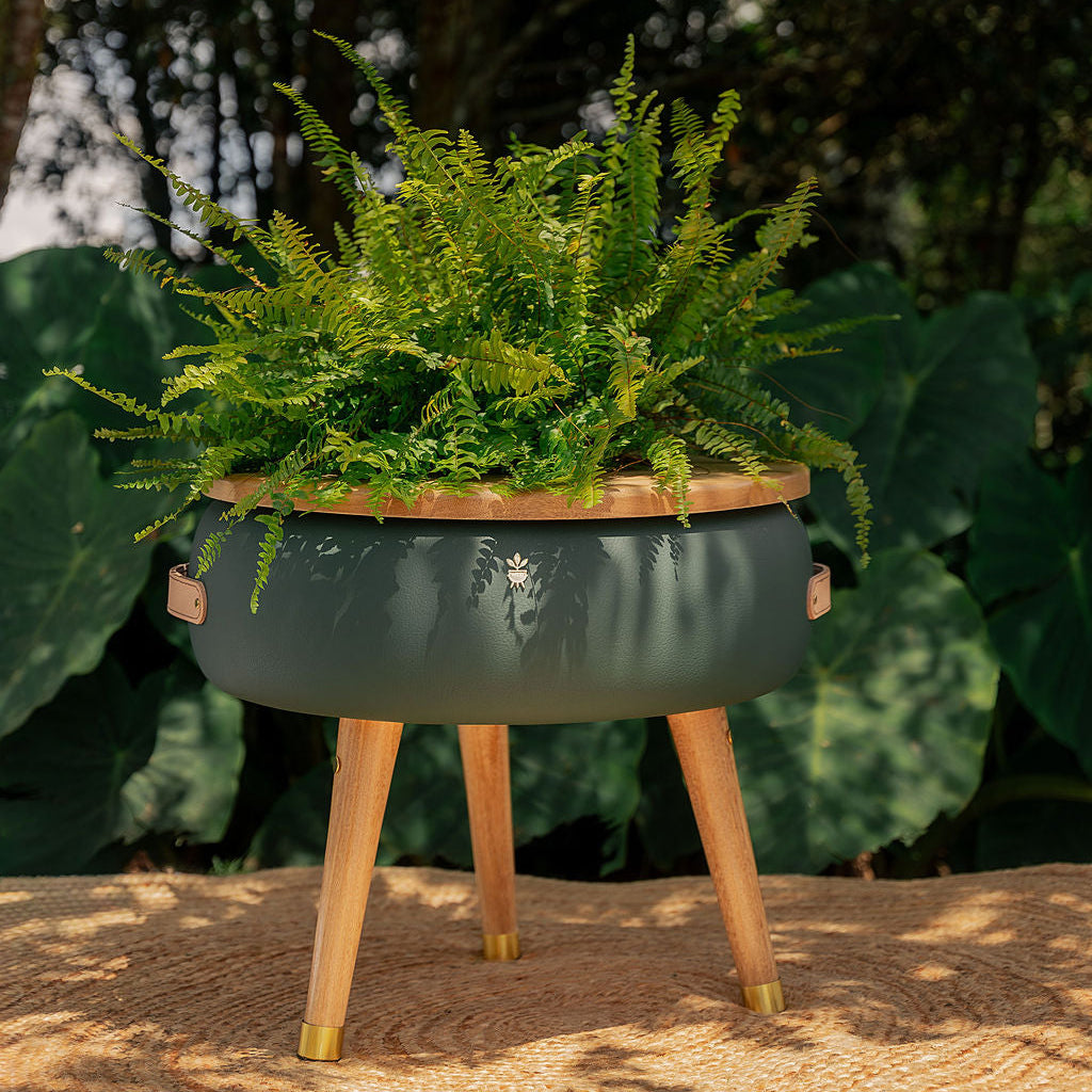 Matera Merano Media Militare