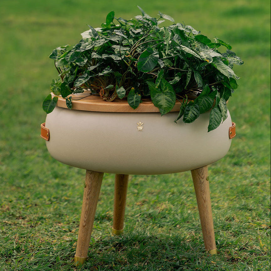 Matera Merano Media Perla