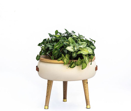 Matera Merano Media Perla