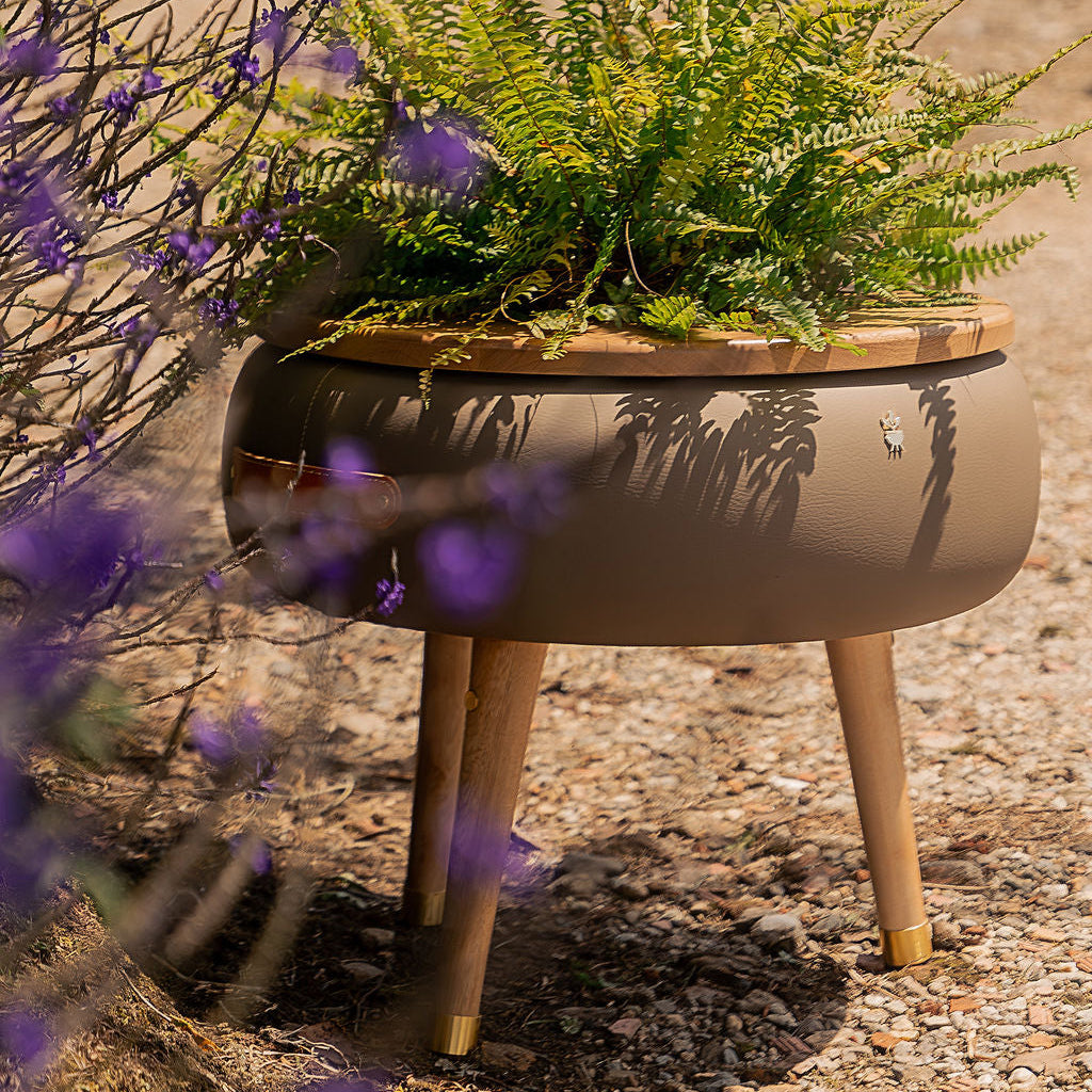 Matera Merano Media Talpa