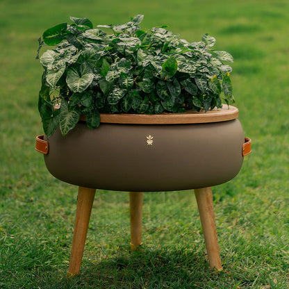 Matera Merano Media Talpa