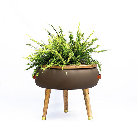 Matera Merano Media Talpa